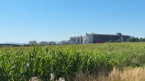 View of methanol and ethanol factory plant in corn field. Bioagra Goswinowi.. Stockbeeldmateriaal 342486169