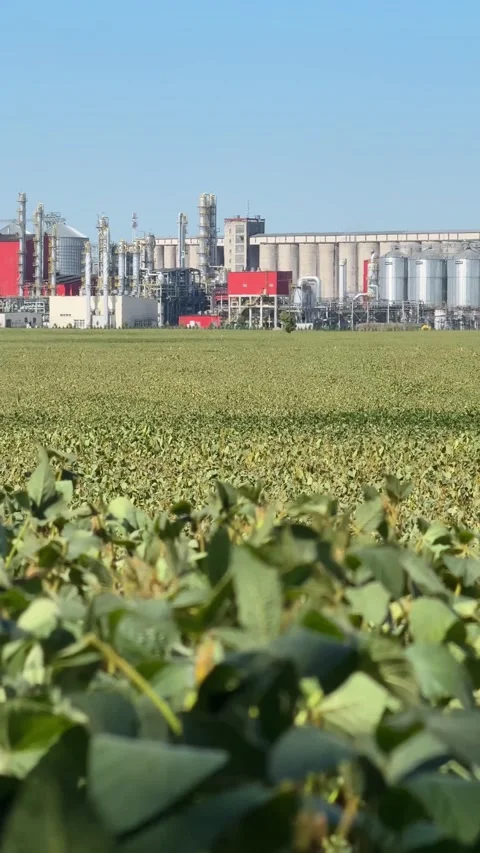 View of methanol and ethanol factory plant in corn field. Bioagra Goswinowi.. Stockbeeldmateriaal 342486194