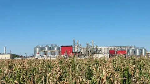 View of methanol and ethanol factory plant in corn field. Bioagra Goswinowi.. Stockbeeldmateriaal 342486195