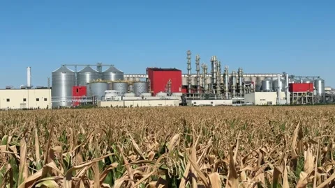 View of methanol and ethanol factory plant in corn field. Bioagra Goswinowi.. Stockbeeldmateriaal 342486249