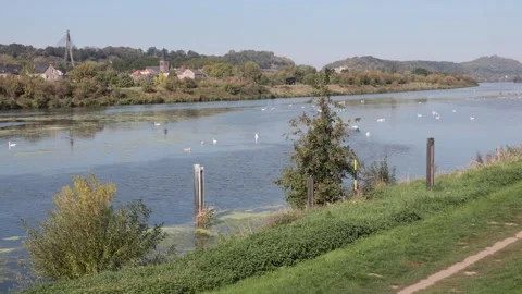 View of the meuse river from Eijsden Video stock 347113615