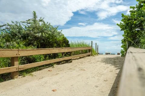 View of Miami Beach sandy path with Palm trees Stock Photos