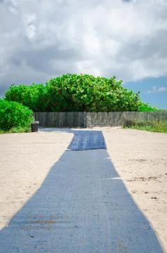 View of Miami Beach sandy path with Palm trees 库存照片