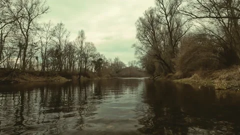 View in the middle of the river in the wild nature Stock Footage 231171876
