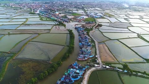 View of milk fish ponds with parked fish boats, aerial view Stock Footage 132951383