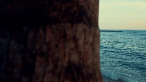 View of Mirissa beach 動画素材 102864601