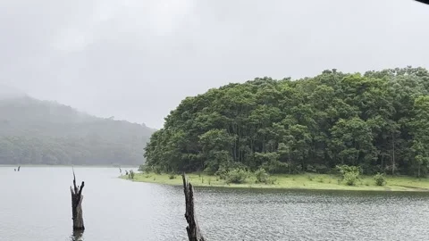 View of Mist Covered Forest from a Boat Stock Footage 278313939