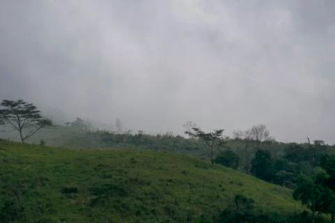 View of mist over green tree on mountain, Thailand Umphang Stock Photos