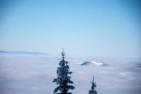 View to the mist from the top of the mountain Stock Photos