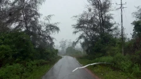 A view of Misty Rainfall Over Narrow Paved Road in Western Ghats Wilderness Video stock 332353059