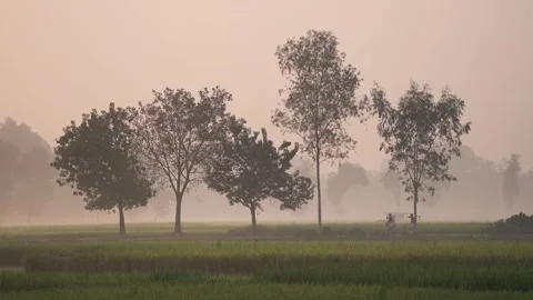View of misty rural landscape with workers in Bogura, Bangladesh. Vídeo Stock 335591781