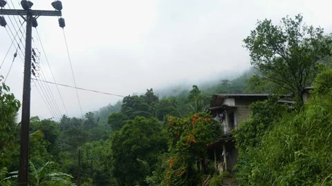 View of the misty Sinharaja Forest Reserve from local village. Sri Lanka. Stock-Footage 243562995