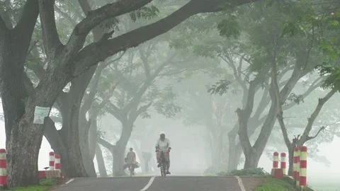 View of a misty tree-lined road in Bogura, Bangladesh. Vidéo 335597701