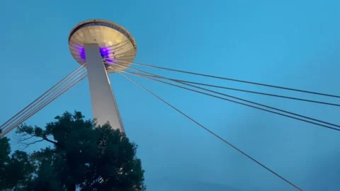 A view of a modern cable-stayed bridge, captured from below at dusk Stock Footage 302188969