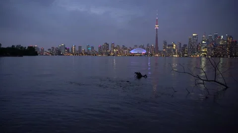 View of a modern city in Canada Stock Footage 143155774