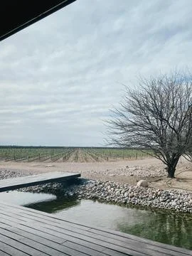 View of a modern wine cellar and vineyards at mendoza, argentina Stock Photos