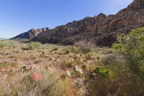 View of Mojave Desert. Stock Photos