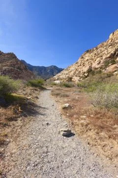 View of Mojave Desert. Stock Photos