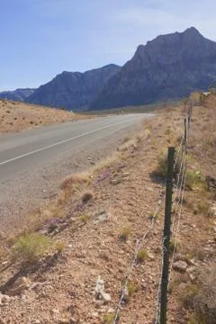 View of Mojave Desert. Stock Photos