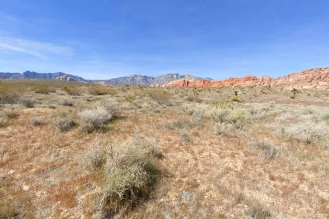 View of Mojave Desert. Stock Photos