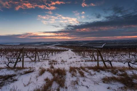 View of Moldova grape fields in winter Stock Photos