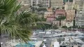 View of Monaco harbor with many yachts from behind exotic palm tree branch 4k or 4k+ Resolution