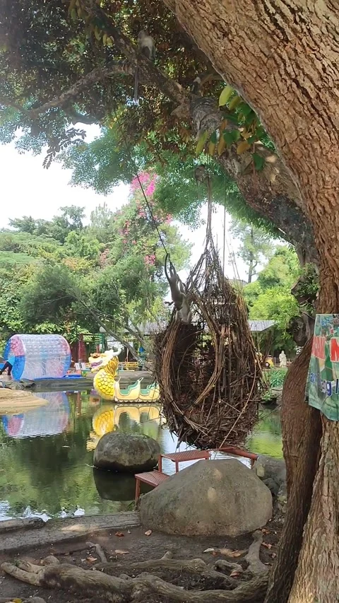 View of Monkeys playing with their herd Stock-Footage 276742362