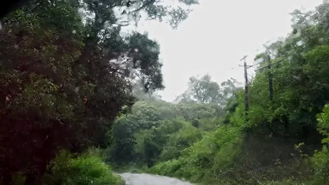 A view of Monsoon Mist Embracing a Forest Road in Karnatakas Western Ghats Video stock 332353042