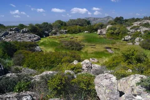 View of Monte Narcao Stock Photos