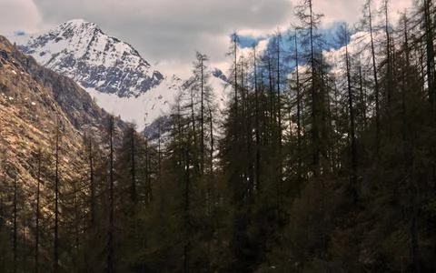 View of Monte Rosa. Stock Photos