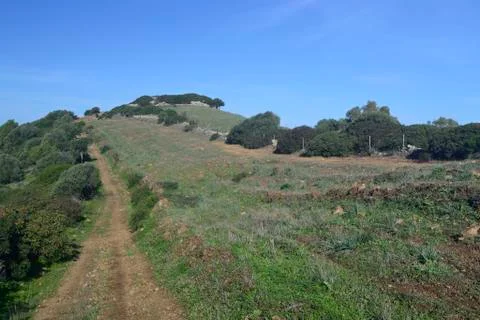 View of Monte Uda Фото
