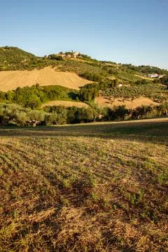 View of Montegridolfo, Italy Фото
