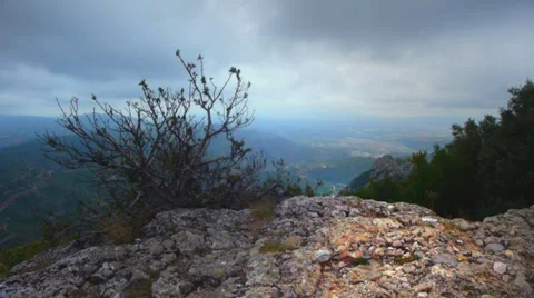 View from Montserrat tree in front Video stock 32182018