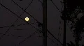 View of Moon From The City HD Footage