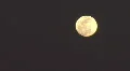 View of Moon From The City HD Footage