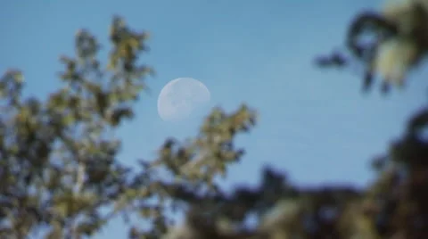 View of moon during day Stock Footage 54593406