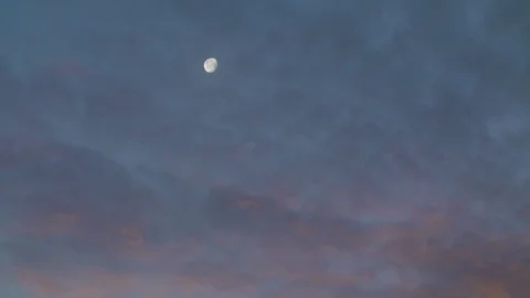 View of the moon over a cloudy sunset with a bird in slow motion Video stock 90818119