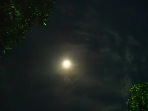 View of the moon phases in the dark night sky 库存照片