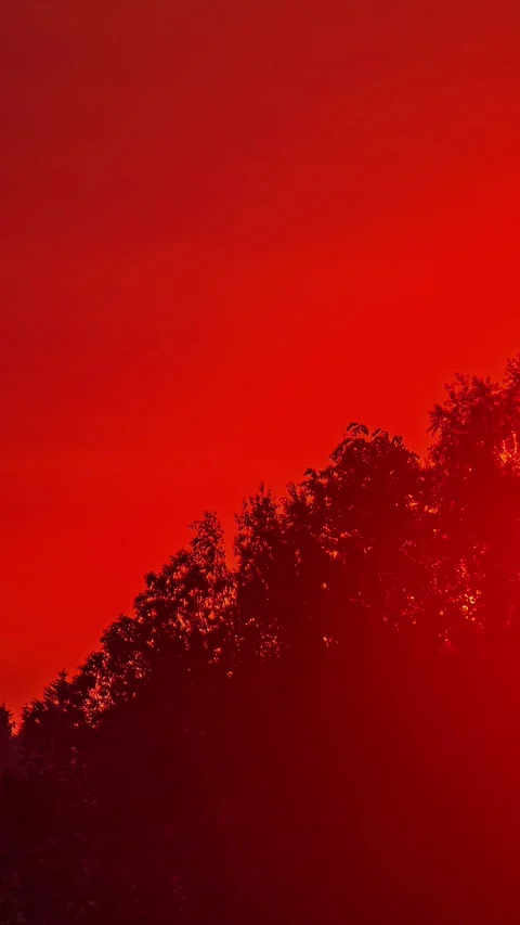 View of the moon in a red sky over the trees, Latvia. Stock Footage 339951970