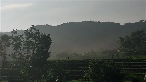 View in the morning Stock Footage 272709559