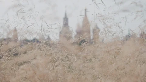 View of the Moscow Kremlin trough tall grass waving in the wind. Red square at s Stock Footage