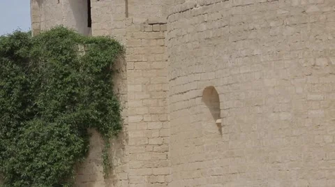 View of the mosque from bottom to top Stock Footage 62063979