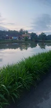 View of Mosque Foto stock