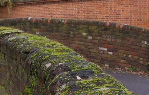 View of moss covered brick bridge with brick wall in background with copyspace Stock Photos
