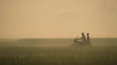 View of a motorcycle riding through a misty field, Bangladesh. Stock Footage 335592142