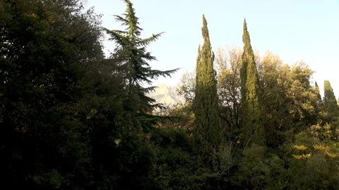 View of Mount Ai-Petri at sunset from alley of lower park of Vorontsov Palace Stock Footage 106857689