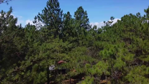 View of mount Apo during mid day using a drone Video stock 133377808