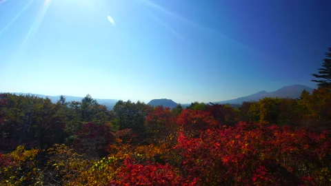 View of Mount Asama and Autumn Leaves from the Old Usui Pass Observation Deck Vídeo Stock 330692966