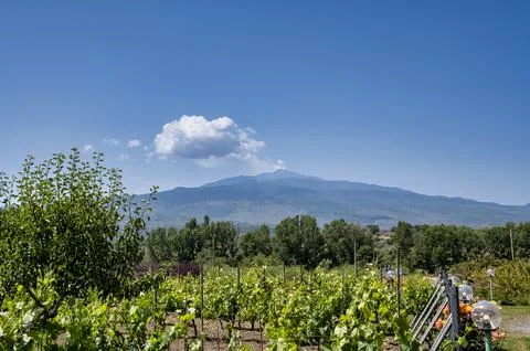 View of Mount Etna in Sicily Stock Photos