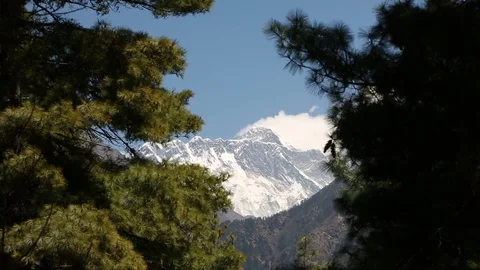 View of Mount Everest peak in distance through trees Stock-Footage 101444479